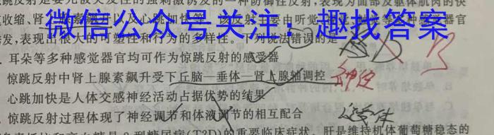 稳派大联考2023-2024学年高二年级上学期12月联考数学