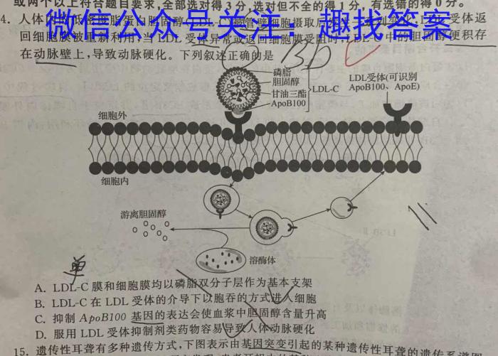 乌兰浩特一中2023~2024学年高三年级上学期期末考试(243499Z)数学