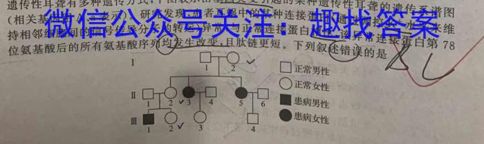 2024年哈三中高三年级下学期第一次模拟考试数学