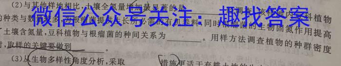 邕衡金卷·南宁市第三中学(五象校区)2024届高三第一次适应性考试数学