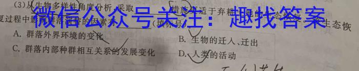 2023年陕西省九年级临考冲刺卷（A）数学