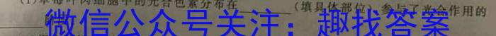 合肥八中 2023-2024学年第一学期高一年级期末检测数学