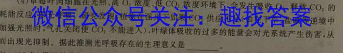 皖智教育 安徽第一卷·2023年八年级学业水平考试信息交流试卷(四)数学