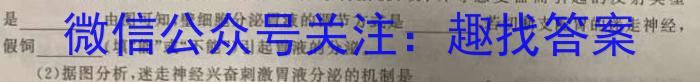 2023年普通高等学校招生全国统一考试适应性考试(5月)数学