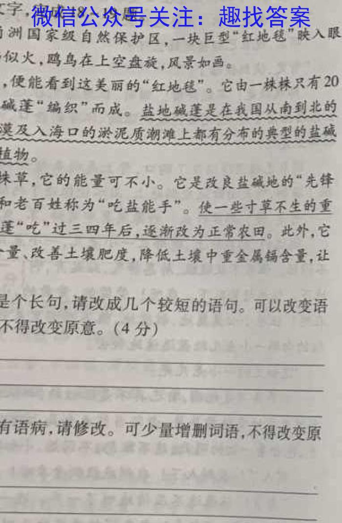 2023年陕西省初中学业水平考试全真预测试卷(C) A版语文