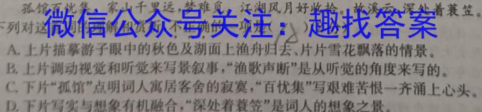 新疆2023年高考素养调研第三次模拟考试(问卷)语文