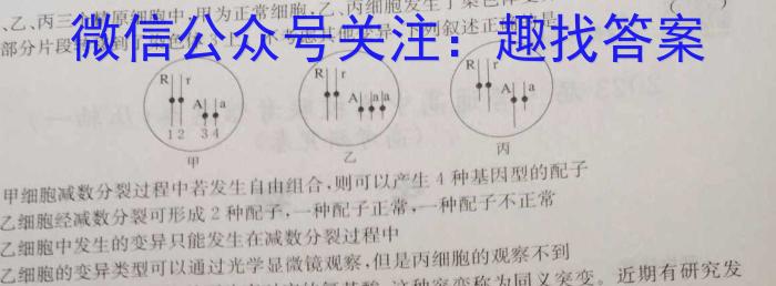 2024年陕西省初中学业水平考试全真模拟试题A（二）数学