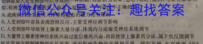 2024届河南省九年级学情调研(5月)数学