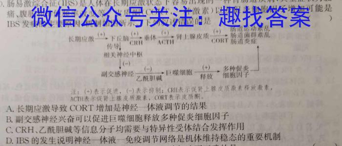 九师联盟·河南省2024年1月高一年级质量检测数学