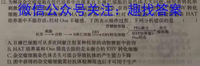 陕西省2023-2024高二年级考试(429B)数学