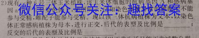 安徽省2024年八年级春季阶段性质量评估（期中卷）数学