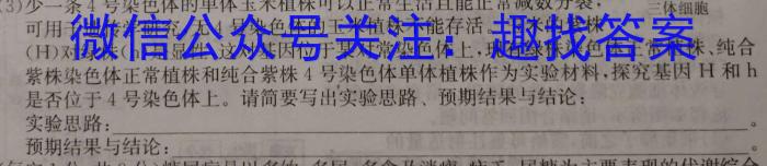 陕西省咸阳市永寿县中学2024年高三质量检测卷(24474C)数学