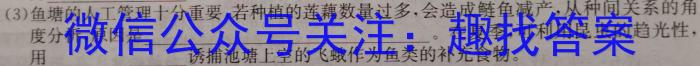 2024年河南省中招考试模拟试卷（二）数学