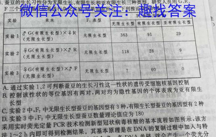 2024届高三4月质量检测数学