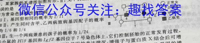 天舟高考衡中同卷案调研卷2024答案(湖北专版)二数学