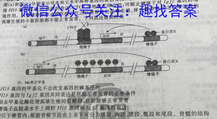 天一大联考 2022-2023学年高一年级阶段性测试(四)生物