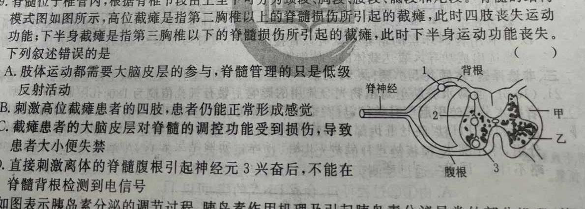 2023年泰安市高考全真模拟试题(23-360C)数学考试