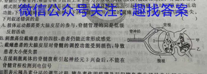 2024届衡水金卷先享题 调研卷(湖北专版)一数学