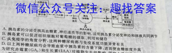 河北省2024届高三年级大数据应用调研联合测评(Ⅲ)数学