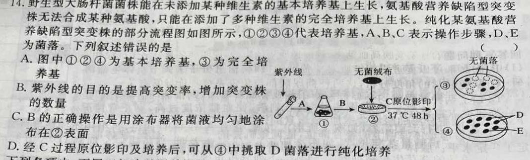 咸宁市2022-2023学年度下学期高一年级高中期末考试生物