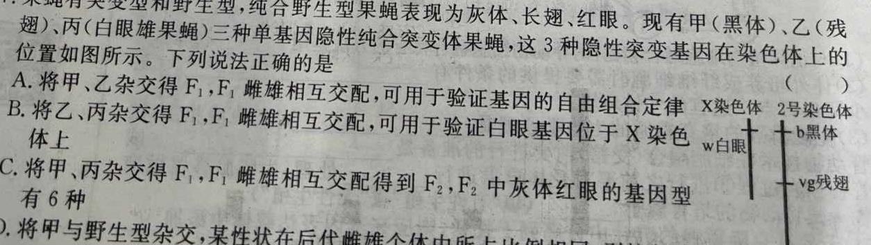楚雄州中小学2022-2023学年下学期高一年级期末教育学业质量监测数学考试