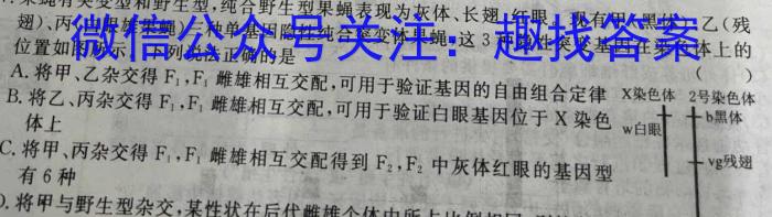 2023年陕西省初中学业水平考试信息卷(A)数学