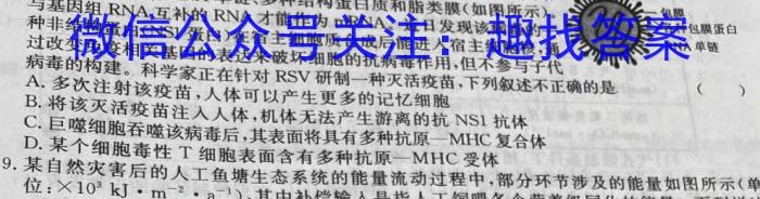 2024届名校大联盟·高三月考卷(四)4数学