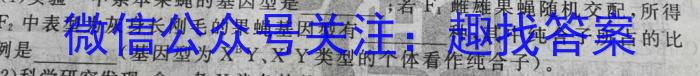 安徽省2024年第二学期八年级4月考试数学