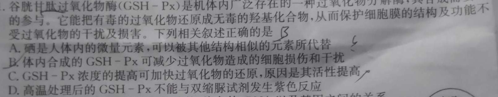 2024届分科综合检测卷(一)数学考试