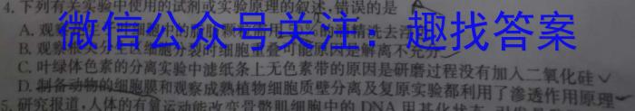 2024河南中考仿真模拟试卷（二）数学