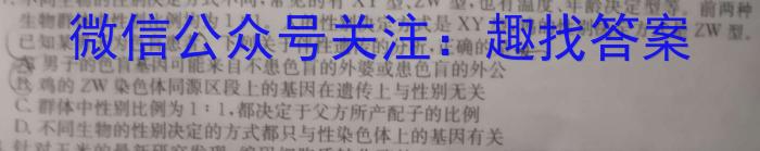 2024年普通高等学校招生伯乐马模拟考试(一)1数学