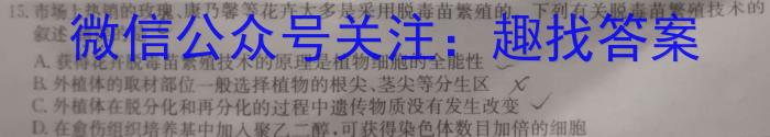 智慧上进·2024届高三总复习双向达标月考调研卷（四）数学