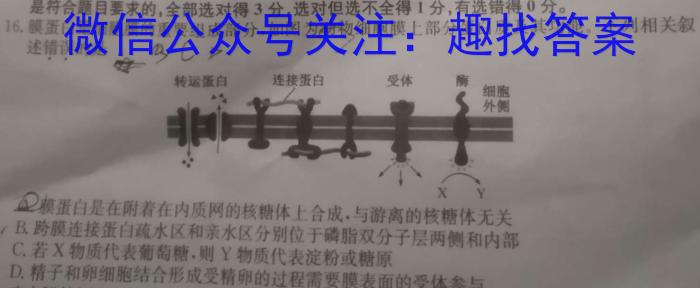 2024年陕西省初中学业水平适应性联考(一)1数学