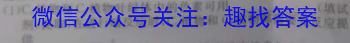 2023年合肥市中考最后一卷(模拟卷)数学