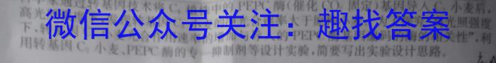 2024年中考安徽名校大联考试卷（二）数学