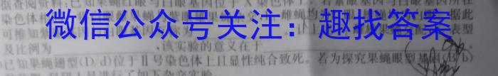 2023年广西初中学业水平适应性考试(压轴题)数学