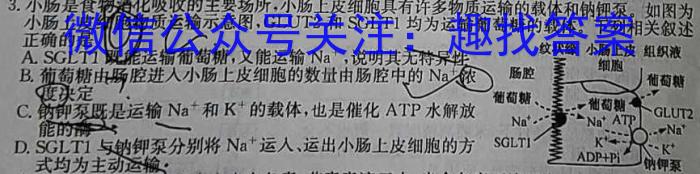 江淮名卷·2023-2024年九年级上学期1月联考数学