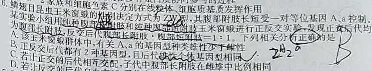 2023年高考全国甲卷数学(理)真题数学考试