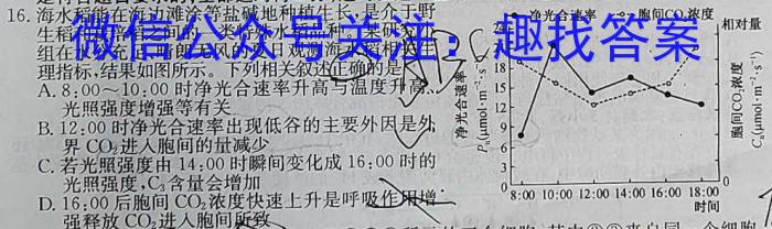 河南省顶级名校2023-2024学年高三上学期12月教学质量测评数学