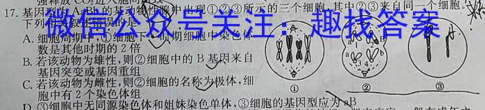 2024届天域联盟安徽大联考高三第二次素质测试数学