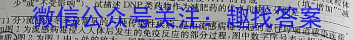 2024届衡水金卷先享题调研卷(甘肃专版)一数学