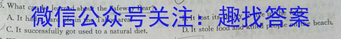 保山市2023年下学期第二次高三质量监测英语