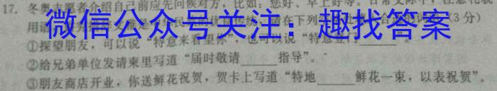 九师联盟 2022-2023学年高二洛阳强基联盟5月联考语文