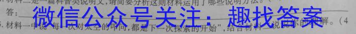 2023年湖北大联考高三年级5月联考（517C·HUB）语文