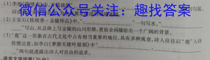 环际大联考 圆梦计划2023年普通高等学校招生适应性考试(5月)语文