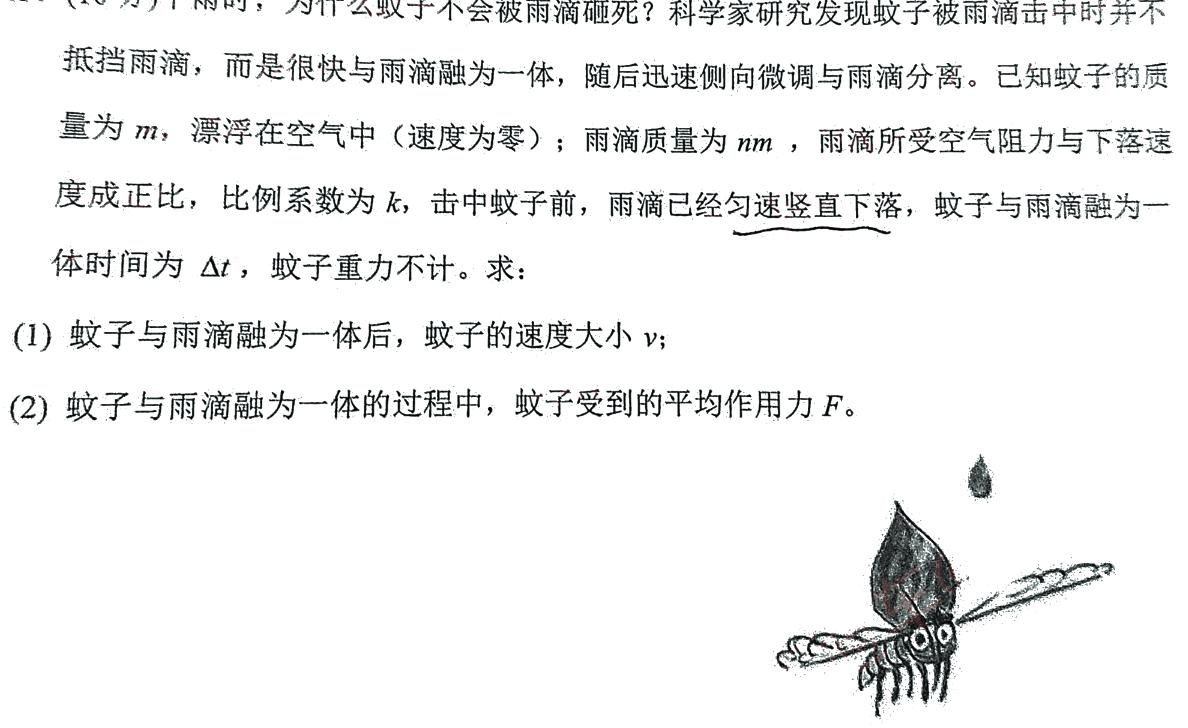 福建省漳州市2022-2023学年(下)高一期末高中教学质量检测-物理