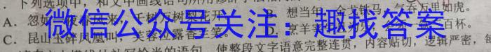 2023年河南大联考高三年级5月联考（5003C·HEN）语文