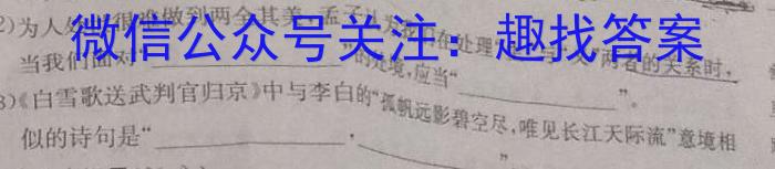 皖智教育 安徽第一卷·2023年八年级学业水平考试信息交流试卷(九)语文