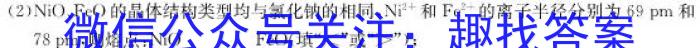 文博志鸿 2023年河北省初中毕业生升学文化课模拟考试(状元卷二)化学