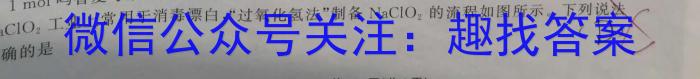 2023年陕西省初中学业水平考试信息卷(C)化学